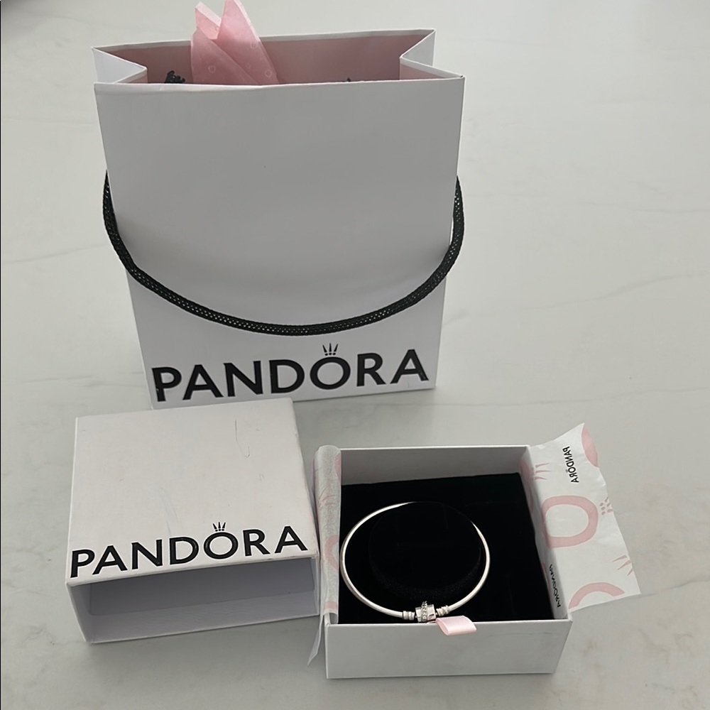 New Pandora silver charm bracelet with gift Bag & charm box - Picture 5 of 15